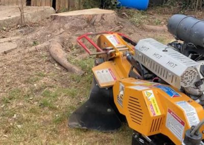 Bandit stump grinder in Coulsdon