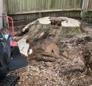 Stump Removal