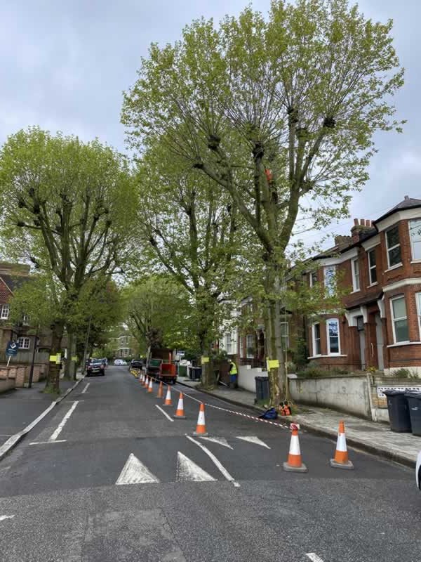 Tree Pruning