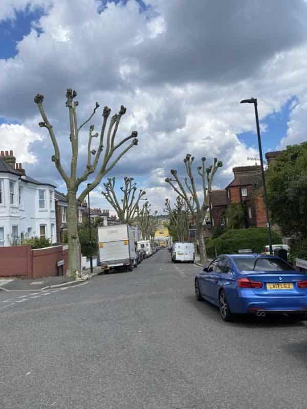 Tree Pruning