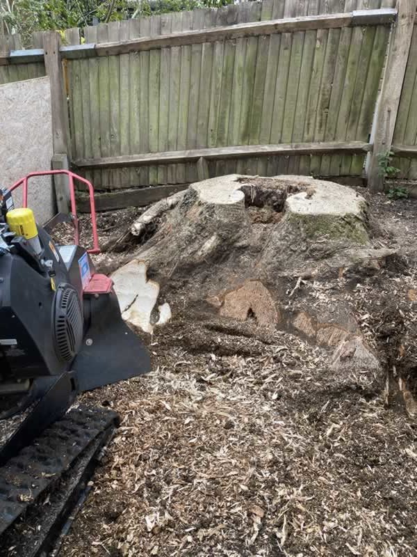 stump grinding